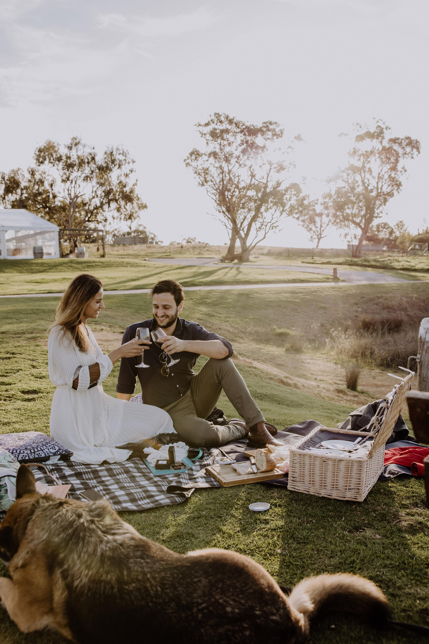 The Wedding Website of Taran Grewal and Heimerich Bisterbosch