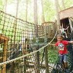 Museum of Life and Science