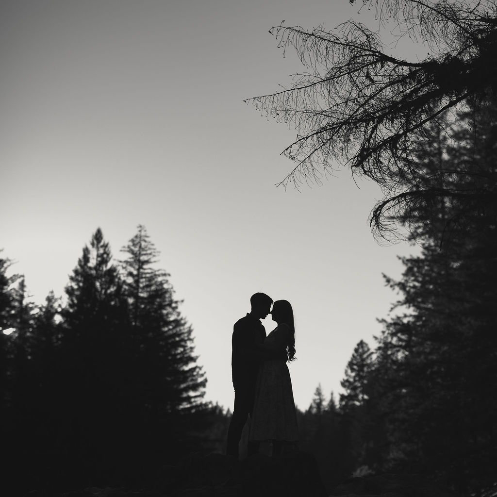 Engagement shoot courtesy of @sunandsparrow