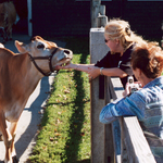 Billings Farm & Museum