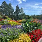 Minnesota Landscape Arboretum