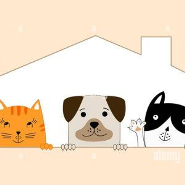 Poppy, Luna, and Maple Fund