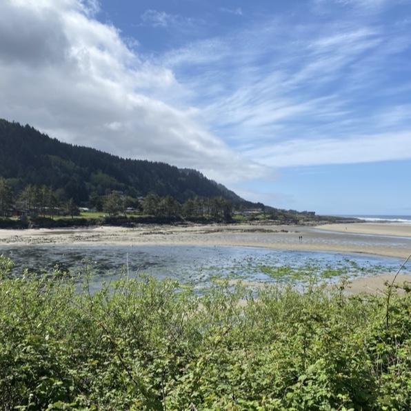 Coleen’s favorite kind of coastal day…blue sky with puffy and wispy white clouds!
