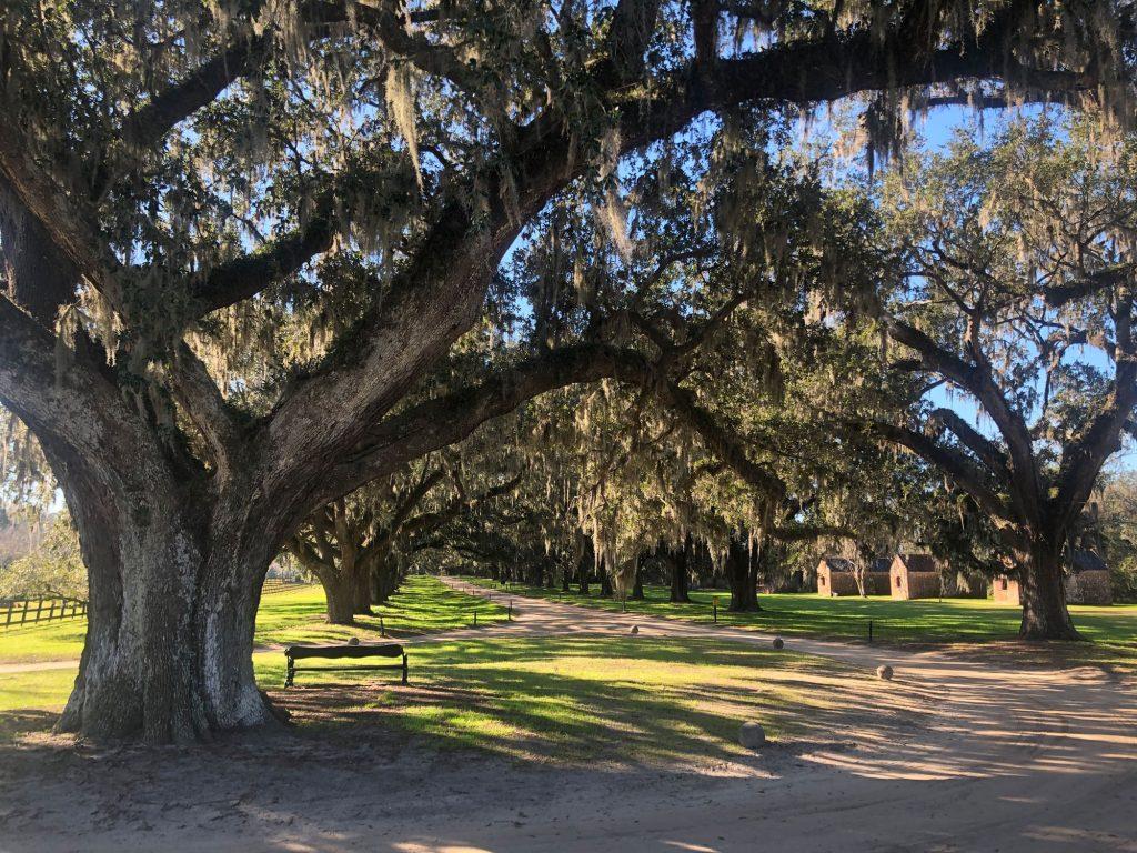 The Wedding Website of Megan Book and John Hartman