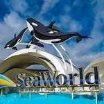SeaWorld Orlando