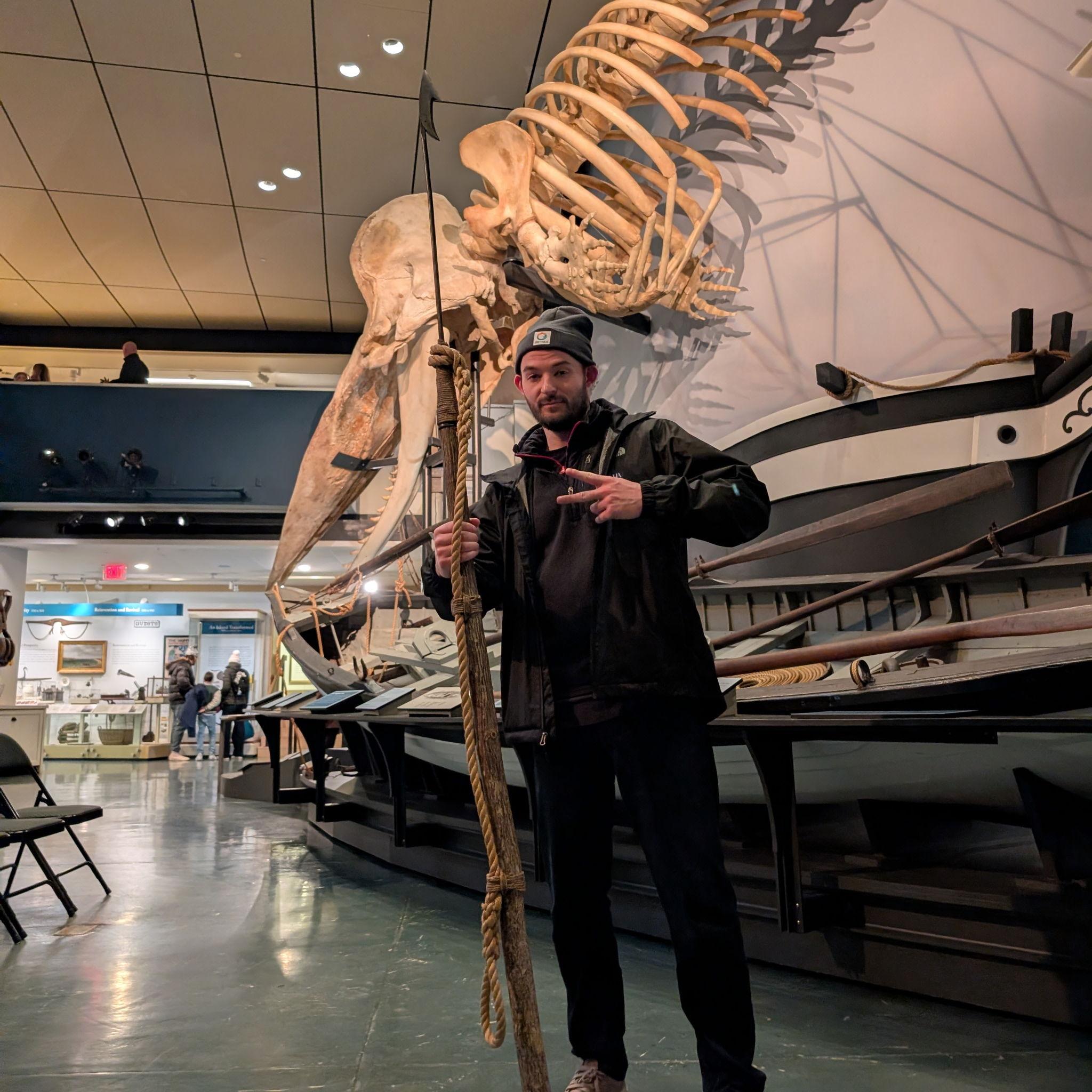 Enjoying the harpoons