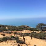 Torrey Pines State Reserve