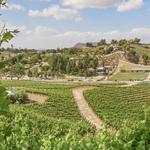 Temecula Valley Wine Country