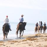 Tours on Horseback