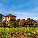 V. Sattui - Napa Valley