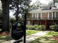 Steel Magnolia House