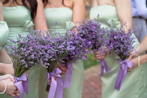 The Wedding Website of Amanda Roswick and Nicholas Pitcher