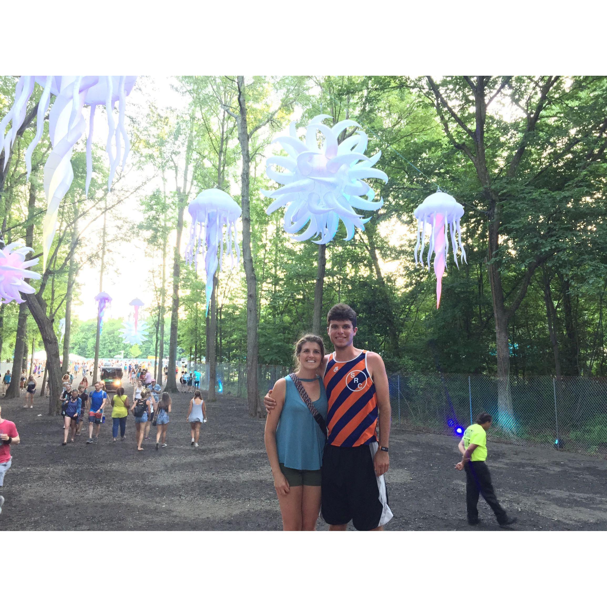 Firefly Music Festival - June 2016