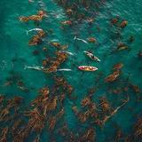 Kayaking