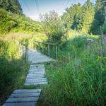 Centennial Woods Natural Area