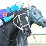 Sam Houston Race Park