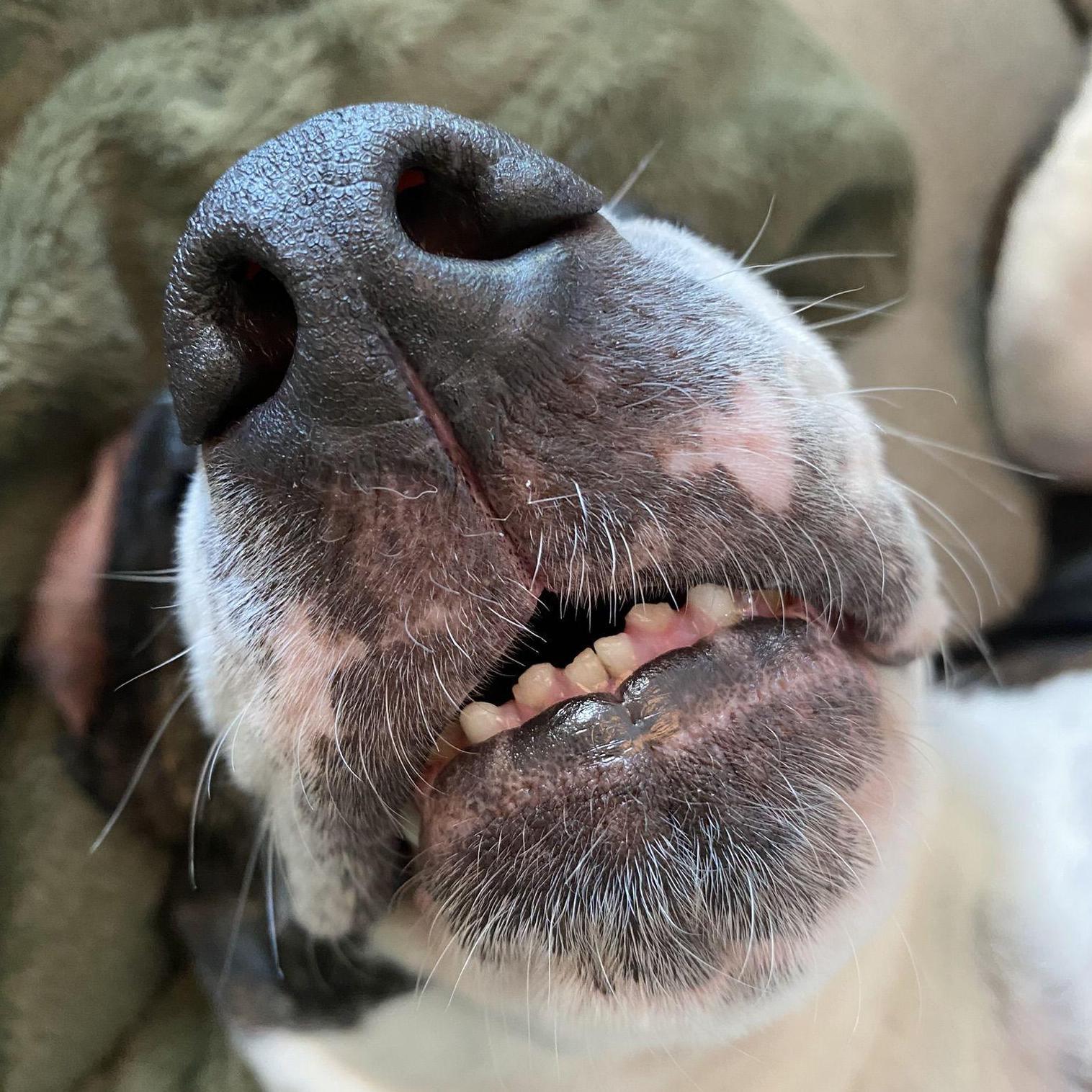 What we wake up to every morning <3