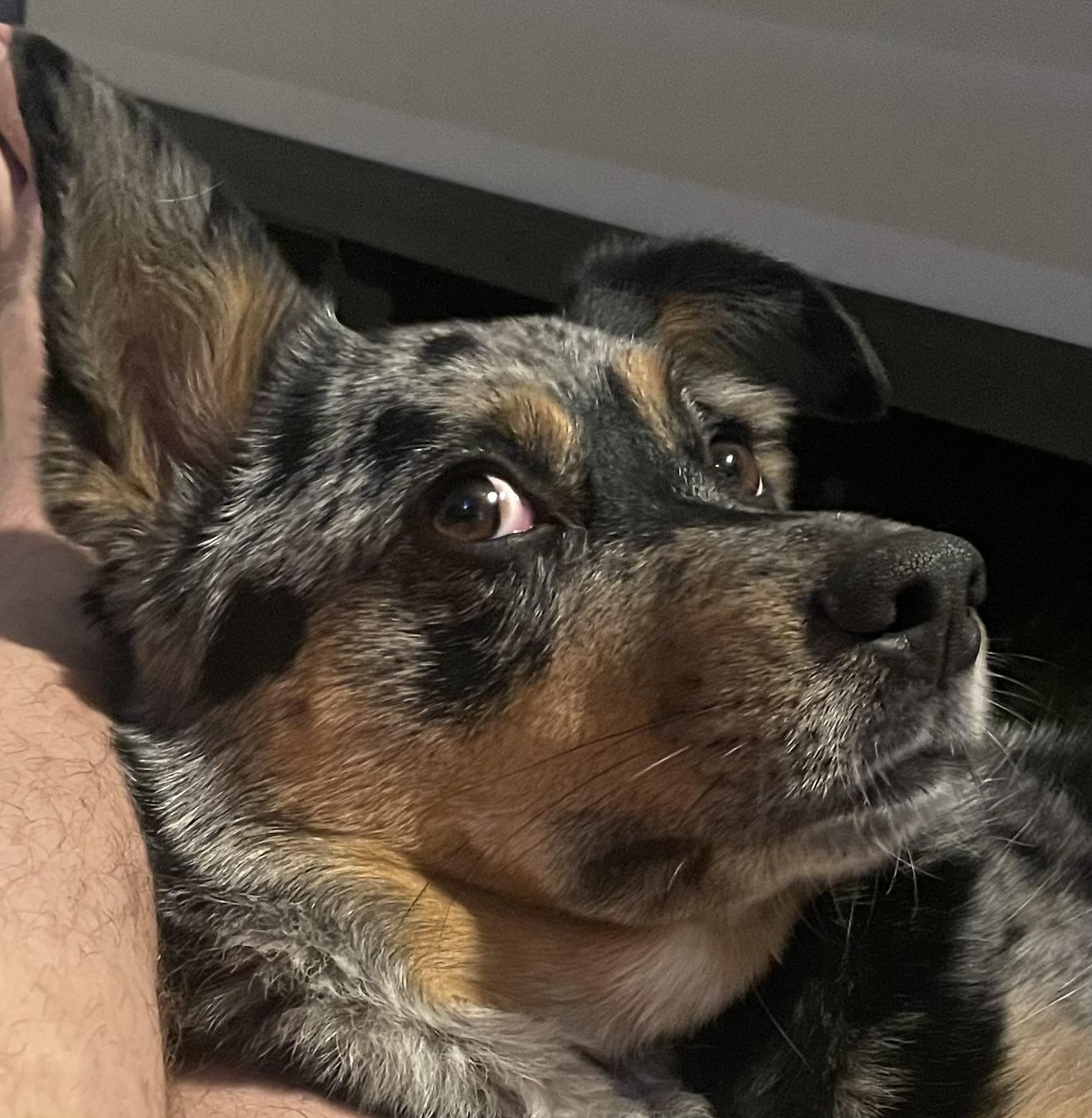 The Wedding Website of Jessica Wedel and Brandon Storm