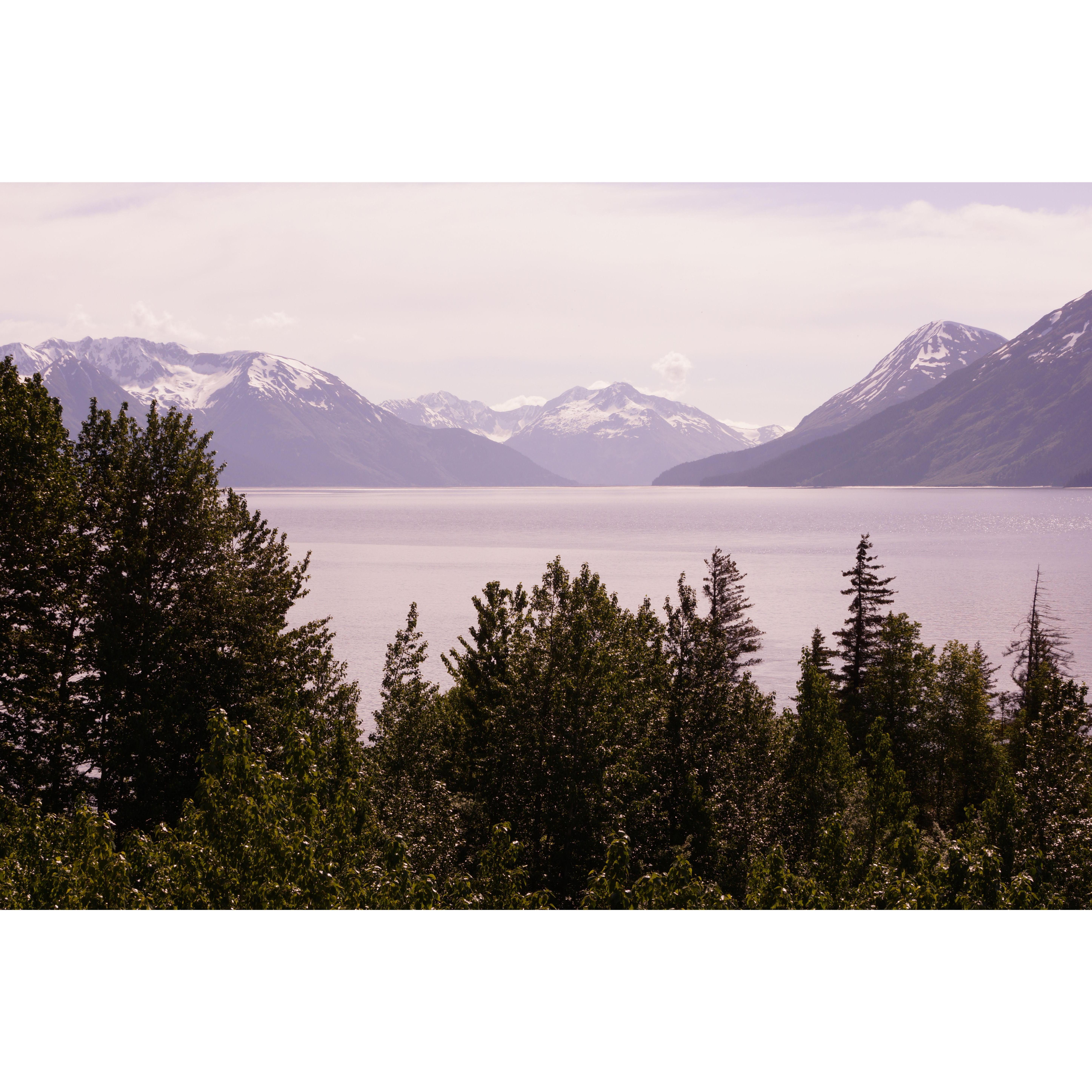 The view on the drive from Anchorage to Girdwood. We hope you enjoy the scenery as much as we do! Keep your eyes open for belugas and mountain goats!