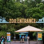 Bronx Zoo