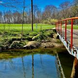 Scenic Walking Trails