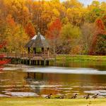 Meadowlark Botanical Gardens