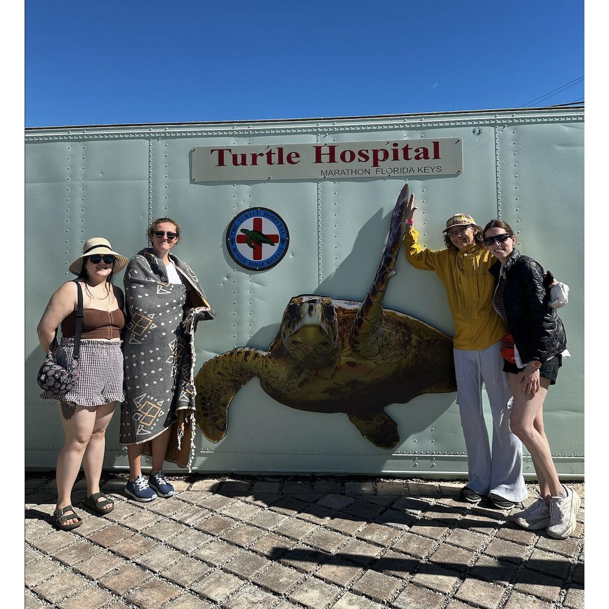 Turtle Hospital in Islamorada, Florida Keys. They rescue, rehabilitate, and release all types of turtles.