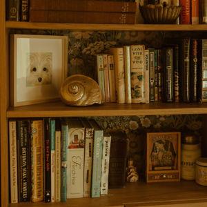 Kaitlyn's Book Collection