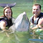 Dolphin Quest Hawaii, Hilton Waikoloa Village