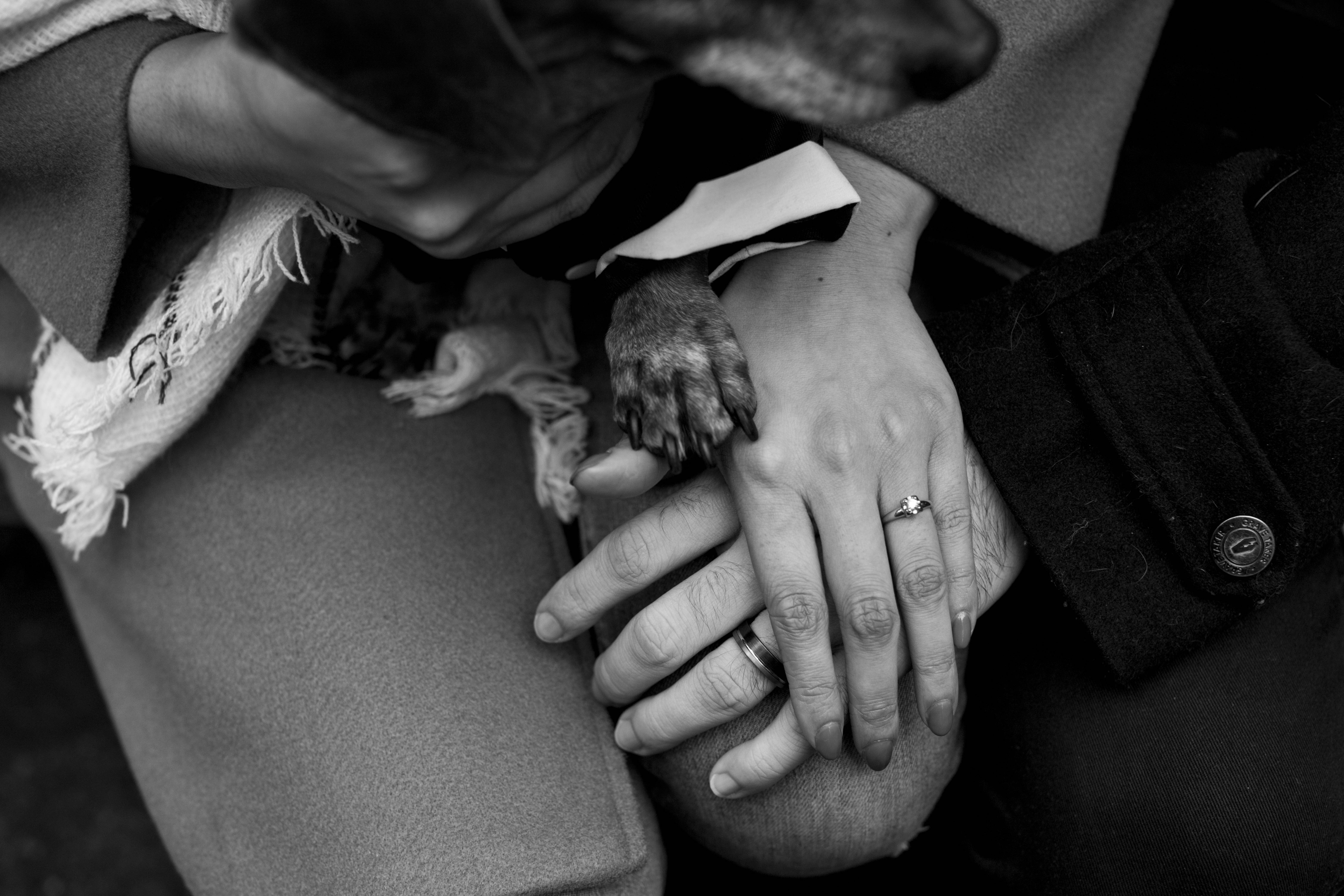 The Wedding Website of Celene Haque and Jameson Tanner