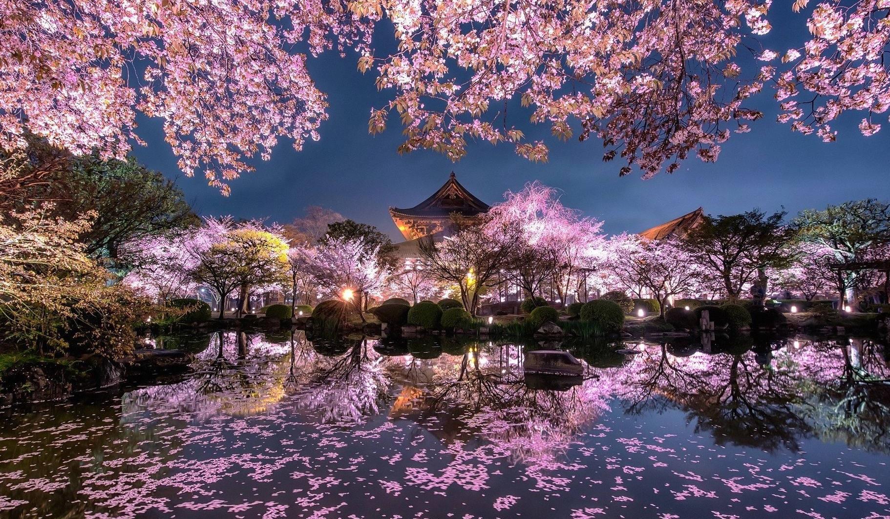 6b8ef144-37fd-4d81-a359-2ae6043a9ff5