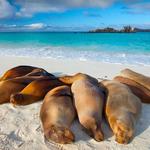 Galápagos, Ecuador