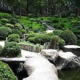 Bosque Los Colomos