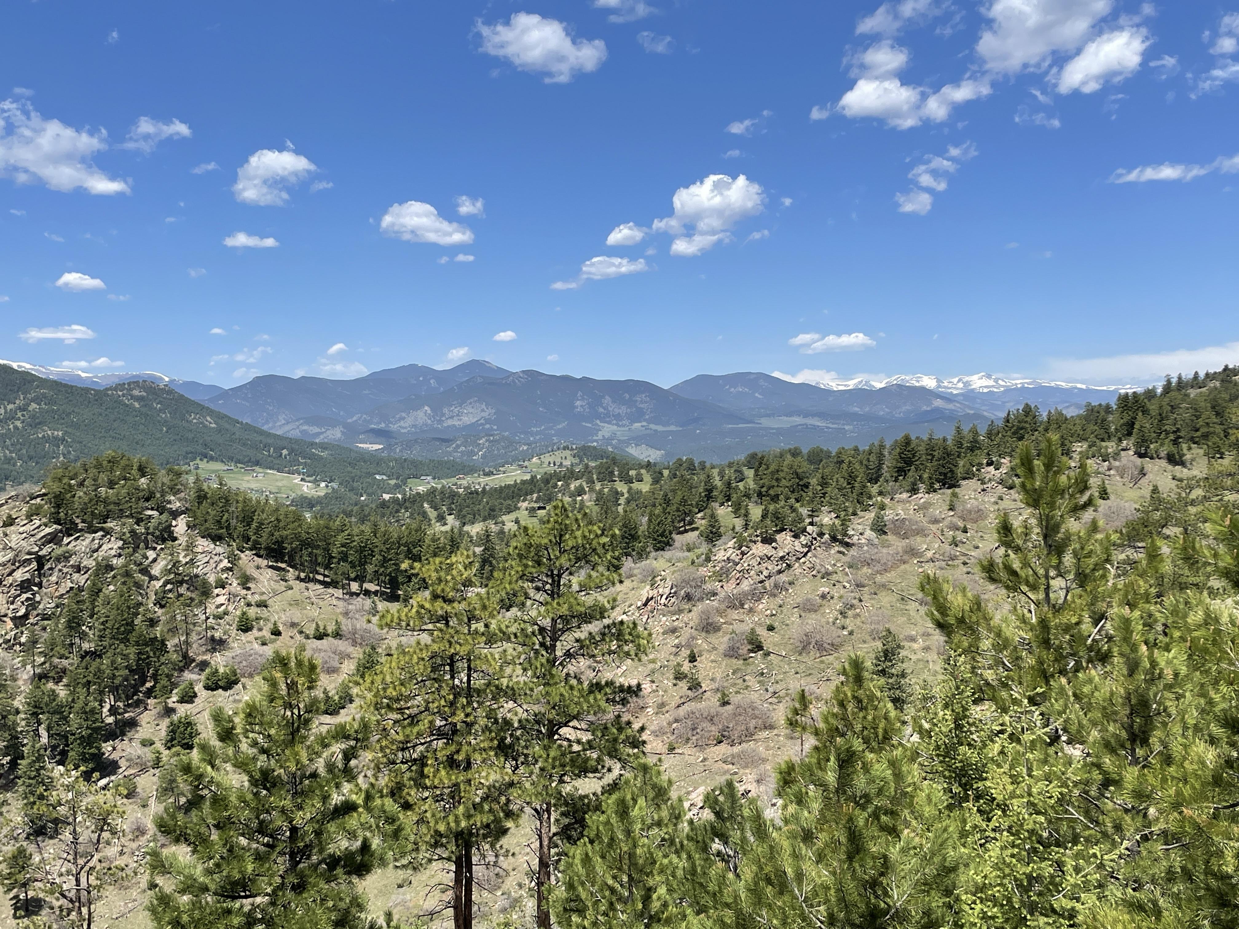 The Wedding Website of Emily McNulty and Vinnie Tiberio