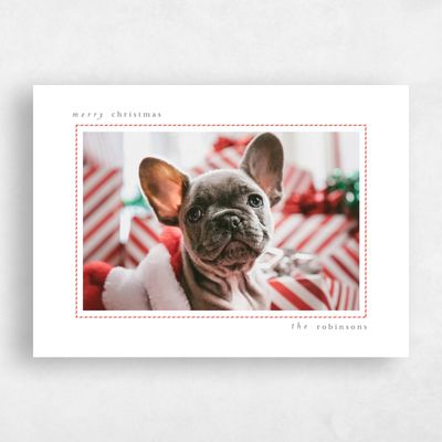White Holiday Card - Frost Landscape
