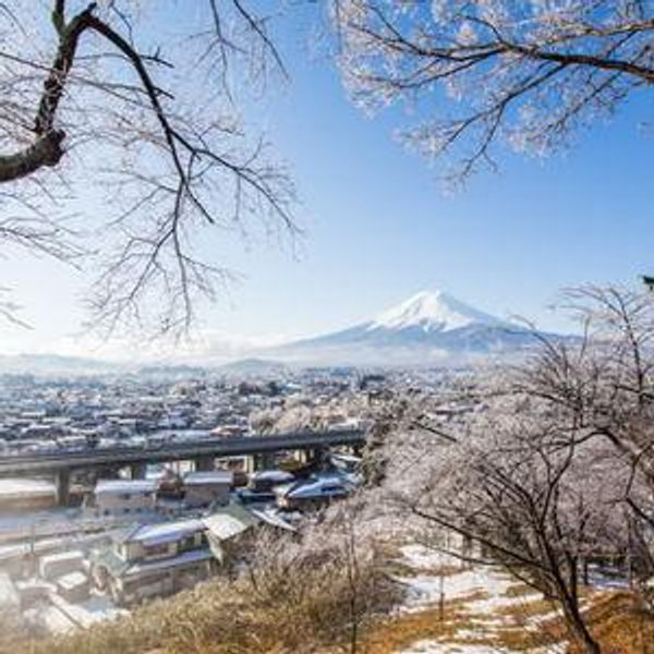 Our Honeymoon to Tokyo