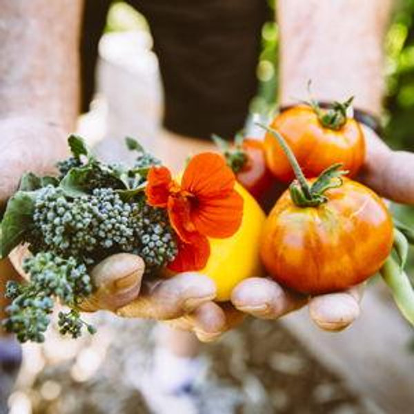 Bellingham Food Bank