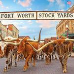 Fort Worth Stockyards