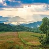 Max Patch