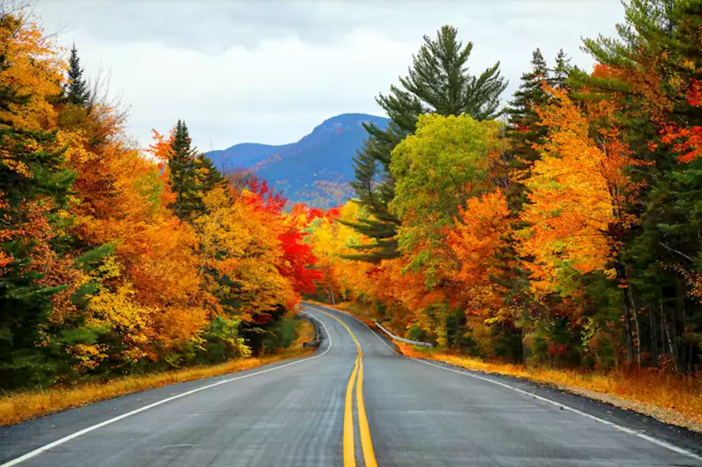 The Wedding Website of Callen Spencer and Marc Bourgeois