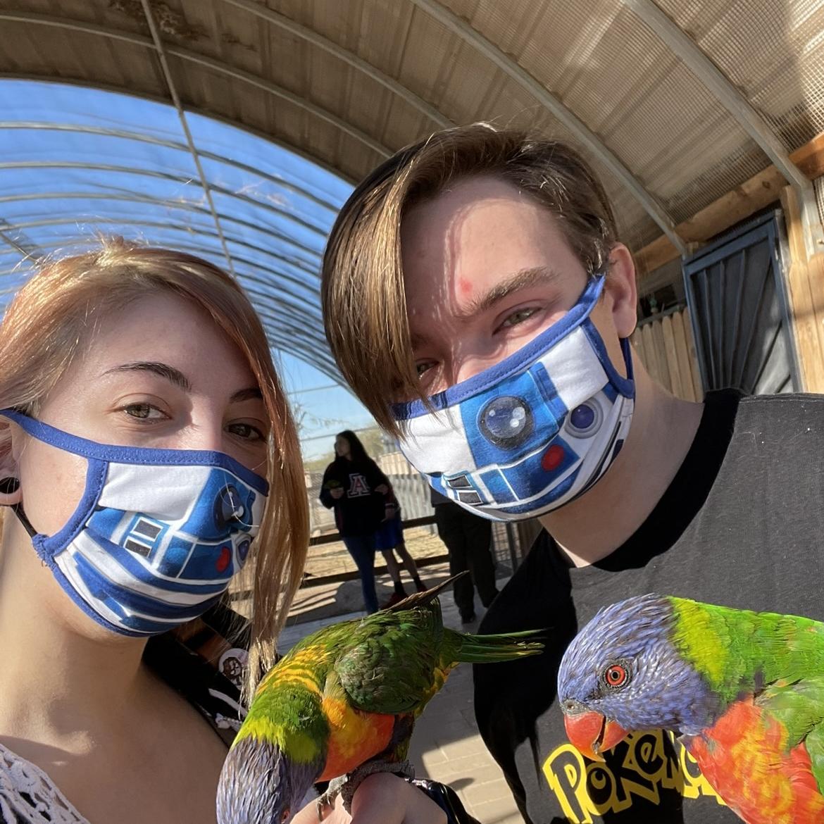 Christmas in Arizona!