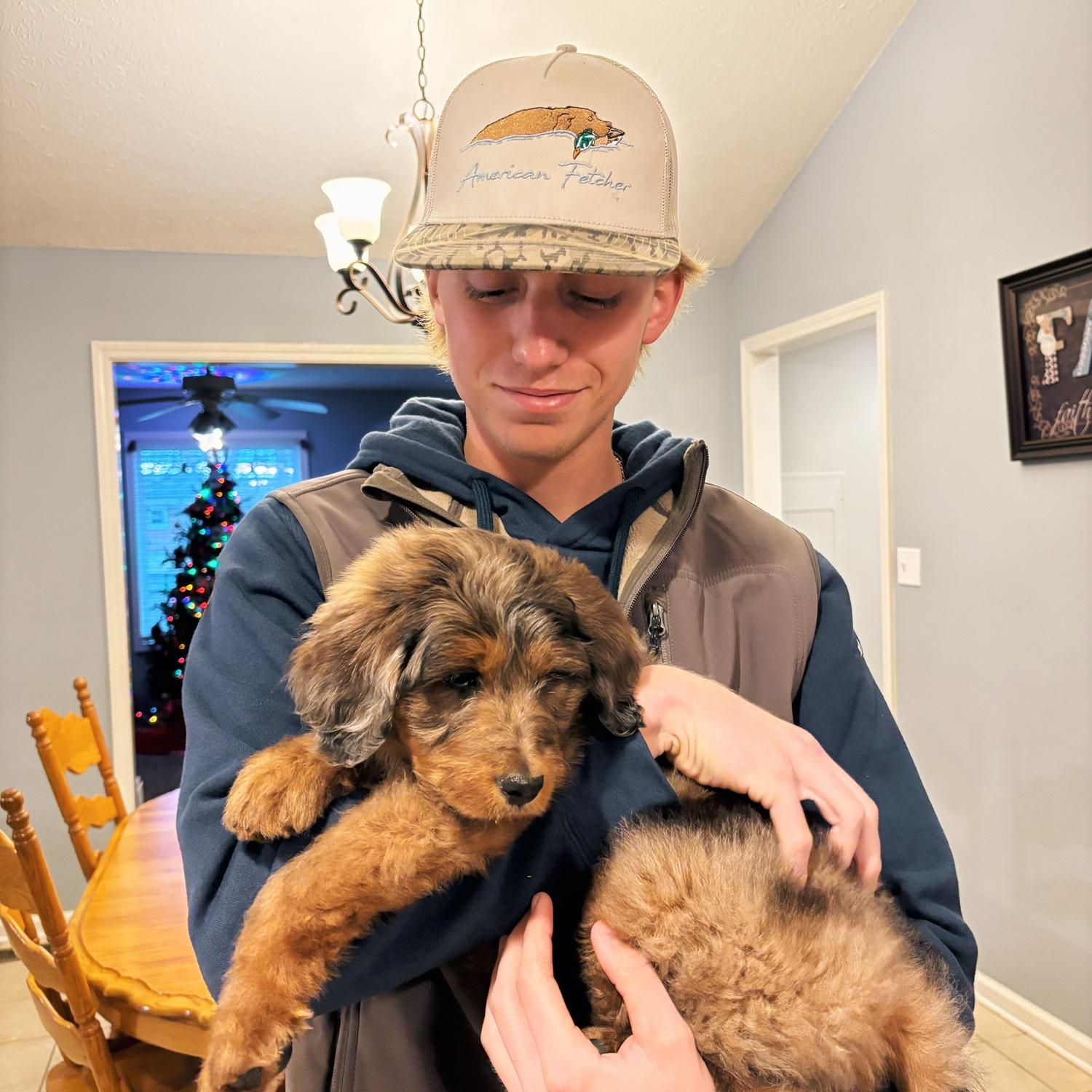 The day we got our sweet Aussiedoodle, Moose!