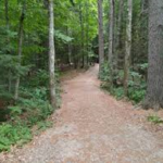 Pineland Farms Trail Festival