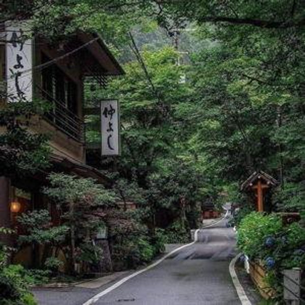 Our Honeymoon to Japan
