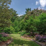 Sarah P. Duke Gardens