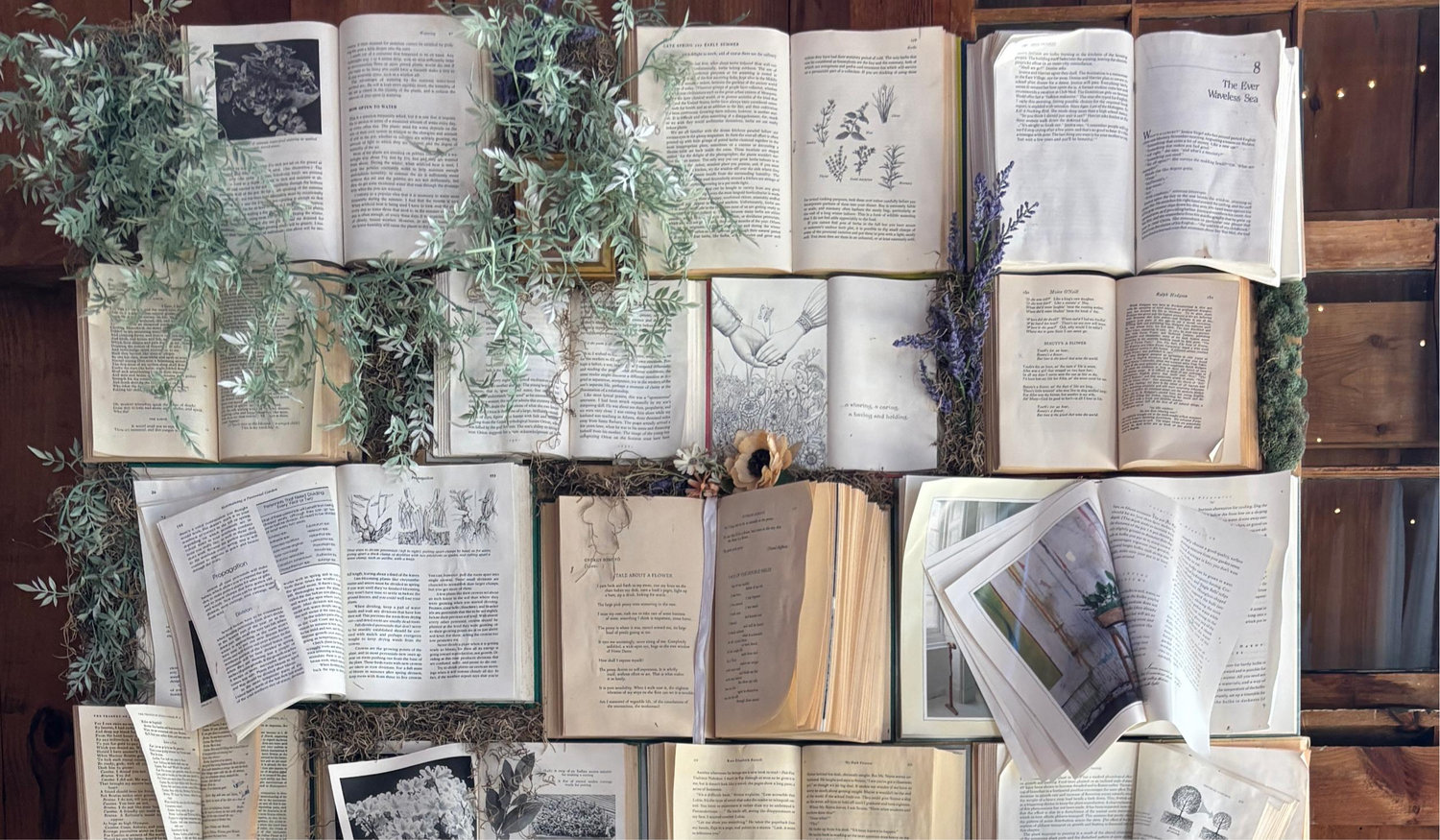 The Wedding Website of Taylor S. Payne and Dylan M. Howes