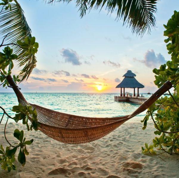 Honey Moon fund