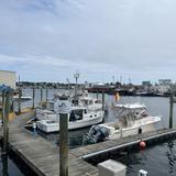 Gloucester