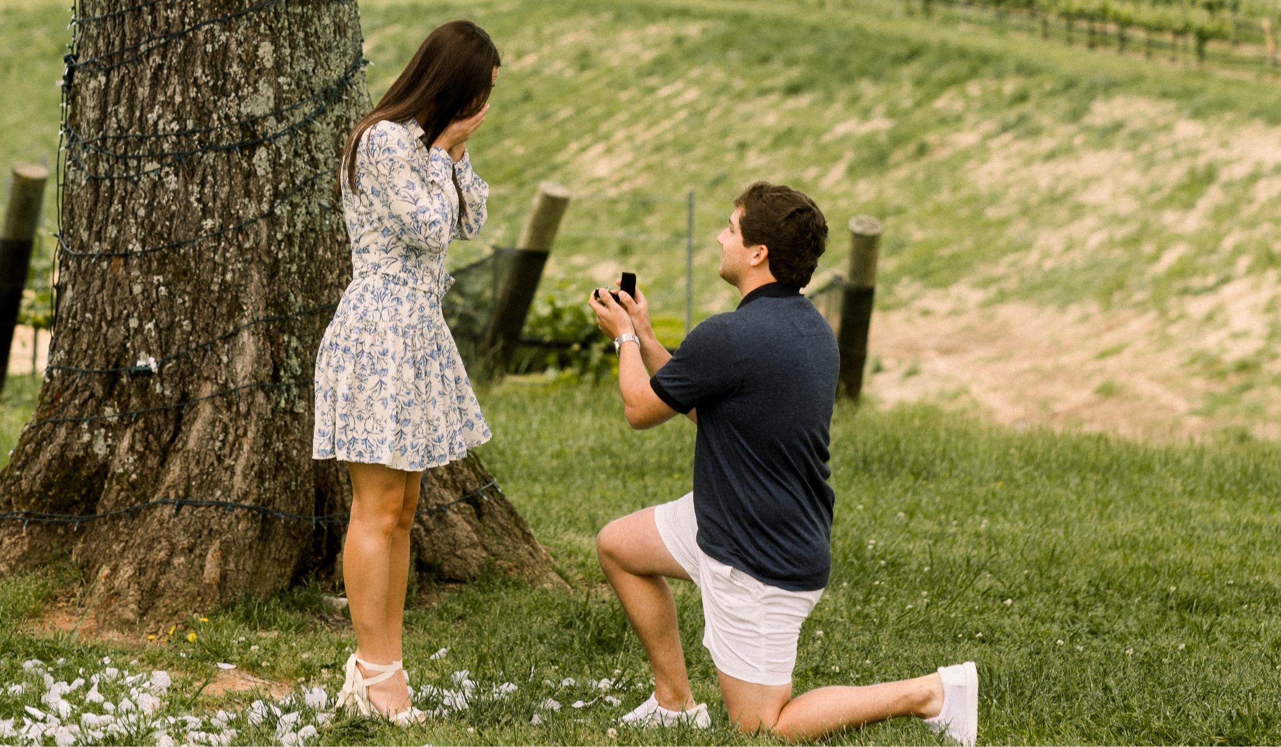 Hero Slideshow Image 2