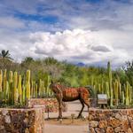 Tohono Chul | Gardens, Galleries, and Bistro